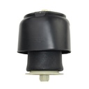 Fole Pneumático Traseiro Esquerdo ou Direito - BMW Série 5 F10 (2009-2017)