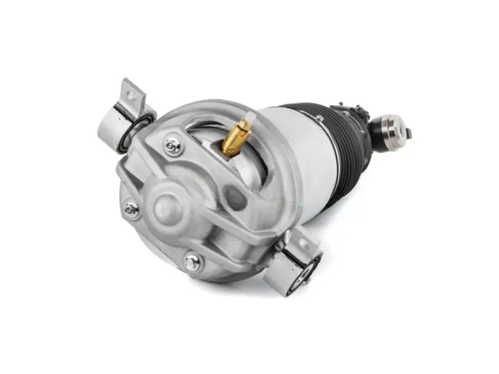 51801b8-192754-amortecedor-pneumatico-traseiro-direito-audi-q7-7l8616020_cleanup.webp