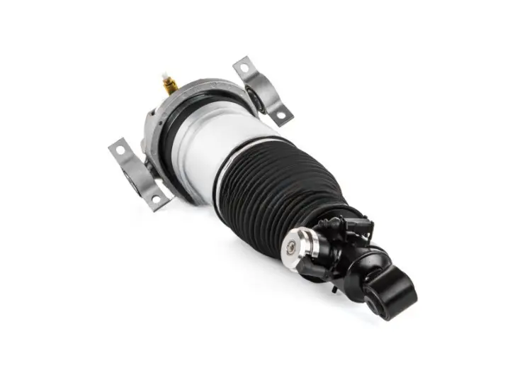 d4b56be-192743-amortecedor-pneumatico-traseiro-direito-audi-q7-7l6616020a_cleanup.webp