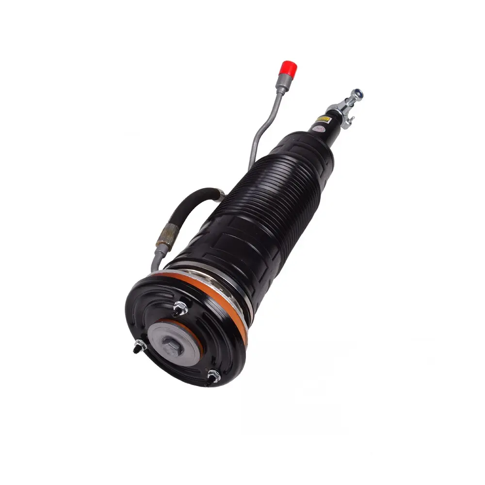 ef971c6-125328-mercedes-s-klasse-w221-abc-federbein-vl_2.webp