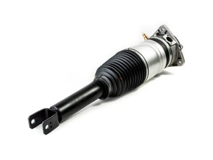 5f5470d-194312-amortecedor-pneumatico-bentley-continental-gt-gtc-flying-spur-traseiro-direito-2005_cleanup.webp