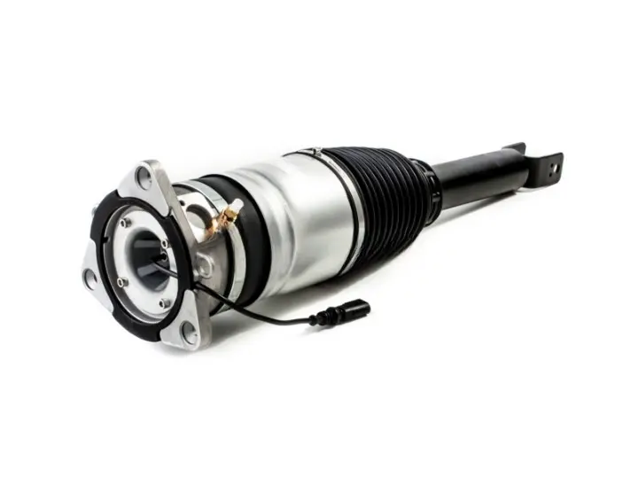 e71b4de-194304-amortecedor-pneumatico-bentley-continental-gt-gtc-flying-spur-traseiro-direito-3w5616002d_cleanup.webp