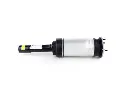 81737df-180629-amortecedor-pneumatico-com-vds-dianteiro-esquerdo-para-land-rover-range-rover-velar-l560-2017-2021-lr146320_cleanup.webp