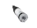 3428804-194721-amortecedor-pneumatico-range-rover-l405-dianteiro-esquerdo-sem-vds-lr060155_cleanup.webp