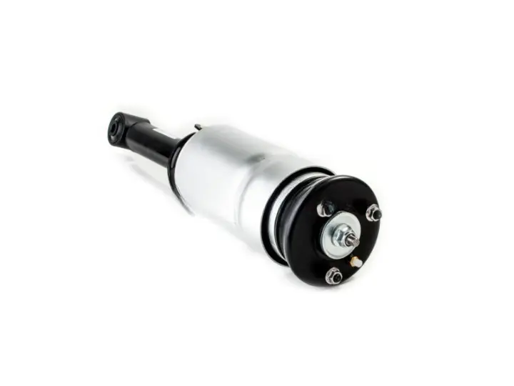 b5af489-183540-amortecedor-pneumatico-dianteiro-land-rover-discovery-4-esquerdo-direito-rnb501460_cleanup.webp