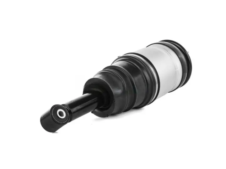 959ba96-184657-amortecedor-pneumatico-traseiro-range-rover-sport-l320-rpd500434_cleanup.webp