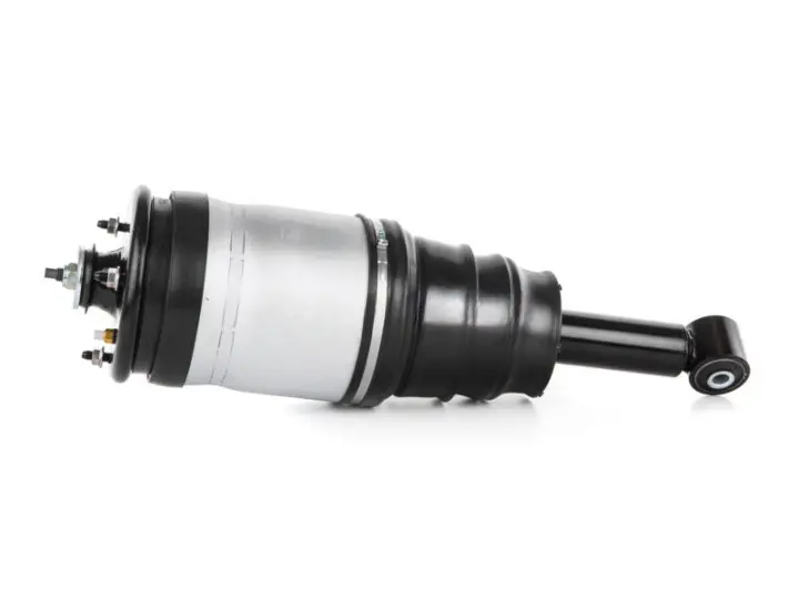 8821cdf-184653-amortecedor-pneumatico-traseiro-range-rover-sport-l320-rpd501030_cleanup.webp
