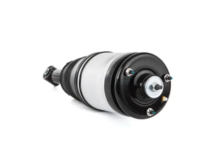 b6a9b6a-184649-amortecedor-pneumatico-traseiro-range-rover-sport-l320-rpd501110_cleanup.webp
