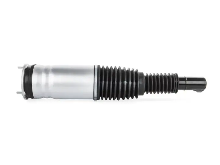 fe5a769-180446-amortecedor-pneumatico-range-rover-sport-l494-dianteiro-esquerdo-com-vds-lr038805_cleanup.webp