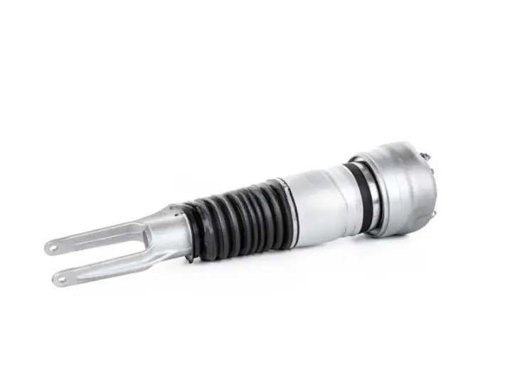25bcb82-182611-amortecedor-pneumatico-porsche-panamera-2009-2013-dianteiro-direito-com-pasm-97034305223_cleanup.webp
