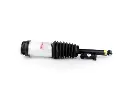 3ed4ab9-175924-amortecedor-pneumatico-tesla-model-x-com-asd-5yjx-2019-2021-traseiro-direito-com-asd-1027067-00-c-transformed.webp