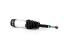 fd36597-153930-amortecedor-pneumatico-tesla-model-x-60d-75d-90d-p90d-100d-p100d-ev-awd-5yjx-2015-2022-traseiro-2015-transformed.webp