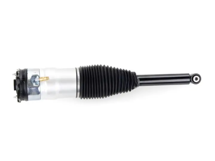 dfe0887-164733-amortecedor-pneumatico-traseiro-tesla-model-s-6006353-06-c_cleanup.webp
