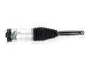 dfe0887-164733-amortecedor-pneumatico-traseiro-tesla-model-s-6006353-06-c_cleanup.webp