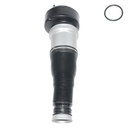 Fole Pneumático Dianteiro Esquerdo ou Direito - Classe CL C216 (2006-2014), Classe S W221 (2005-2012)