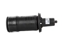 Fole Pneumático Dianteiro Esquerdo ou Direito - Range Rover 1994-2002 (P38A)